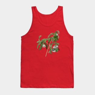 Vintage Spaendoncea Tamarandifolia Botanical Illustration Tank Top